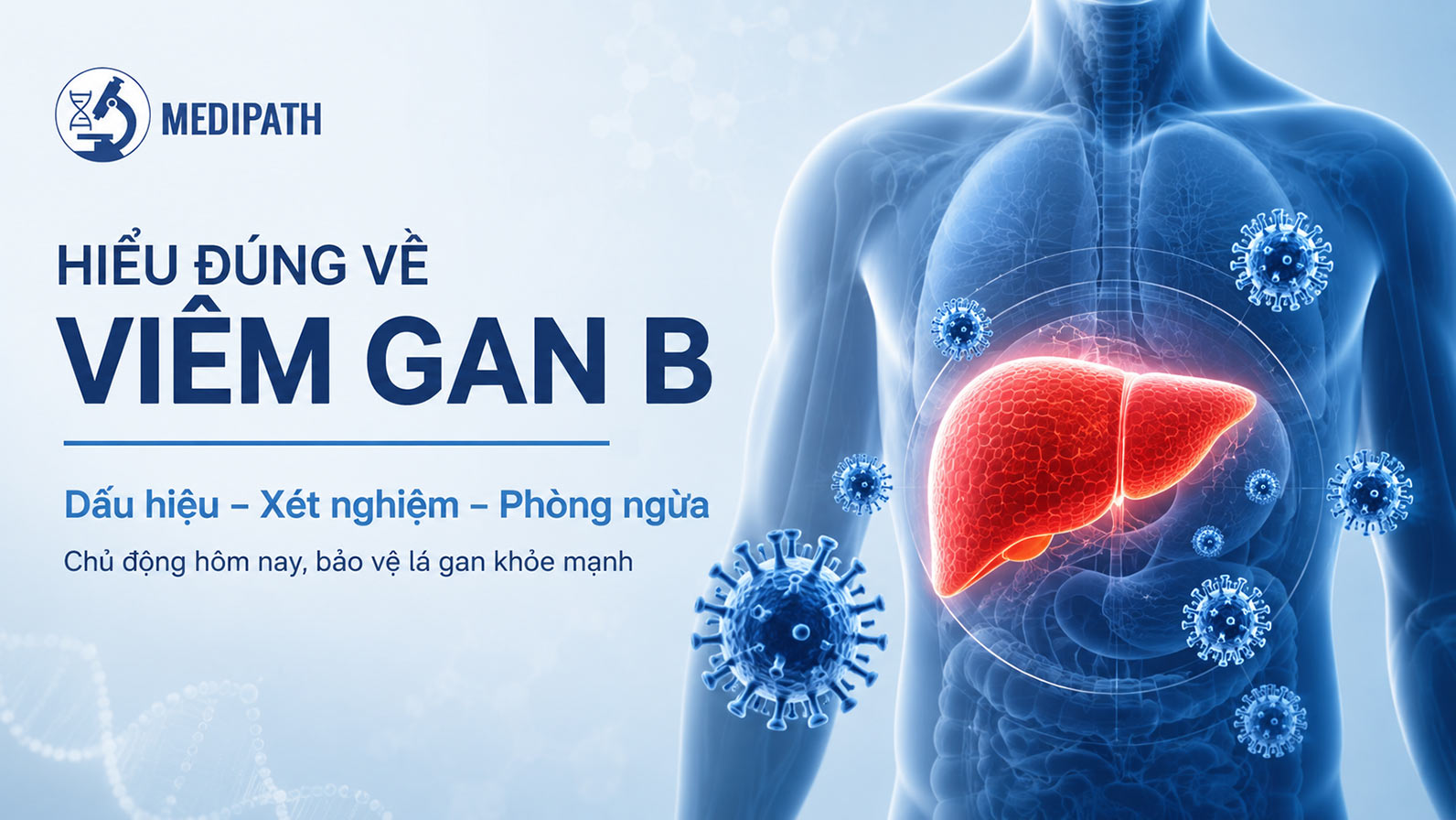 Viem gan B la gi Dau hieu Xet nghiem va Cach phong ngua